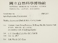 登錄號:F0032883藏品圖，第2張