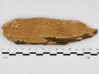 登錄號:F0032883藏品圖，第1張