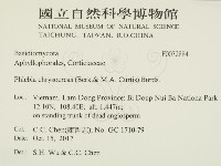 登錄號:F0032884藏品圖，第2張