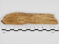 登錄號:F0032884藏品圖，第1張