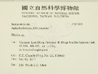 射脈菌屬藏品圖，第2張