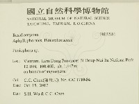 筍殼菌屬藏品圖，第2張