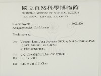 登錄號:F0032890藏品圖，第2張