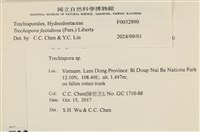 登錄號:F0032890藏品圖，第3張