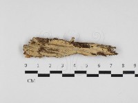 登錄號:F0032891藏品圖，第1張
