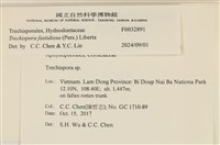 登錄號:F0032891藏品圖，第3張