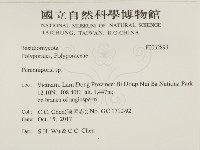 多年臥孔菌屬藏品圖，第2張