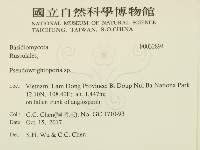 登錄號:F0032894藏品圖，第2張