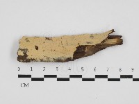 登錄號:F0032896藏品圖，第1張