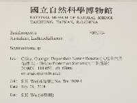 革墊菌屬藏品圖，第2張