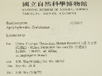 登錄號:F0032905藏品圖，第2張