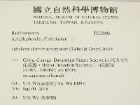 登錄號:F0032906藏品圖，第2張