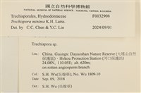 登錄號:F0032908藏品圖，第3張