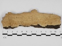 登錄號:F0032909藏品圖，第1張