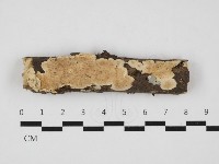 登錄號:F0032913藏品圖，第1張