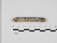 登錄號:F0032919藏品圖，第1張