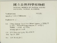 絲皮菌屬藏品圖，第2張