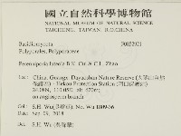 登錄號:F0032921藏品圖，第2張