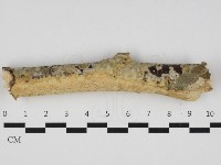 登錄號:F0032921藏品圖，第1張