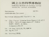 登錄號:F0032922藏品圖，第2張