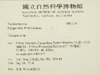 登錄號:F0032924藏品圖，第2張