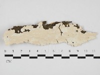 登錄號:F0032924藏品圖，第1張