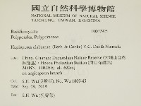 登錄號:F0032925藏品圖，第2張