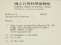 射脈菌屬藏品圖，第2張