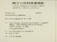 剛毛絲皮菌藏品圖，第2張