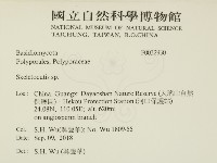 骨皮菌屬藏品圖，第2張
