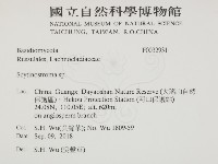 登錄號:F0032931藏品圖，第2張