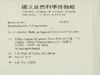 登錄號:F0032933藏品圖，第2張