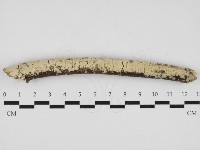 登錄號:F0032933藏品圖，第1張