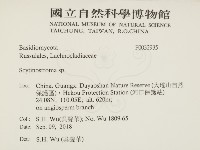 登錄號:F0032935藏品圖，第2張