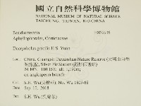 登錄號:F0032936藏品圖，第2張