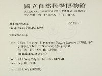 登錄號:F0032937藏品圖，第2張