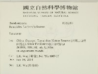 登錄號:F0032939藏品圖，第2張