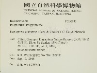 登錄號:F0032940藏品圖，第2張