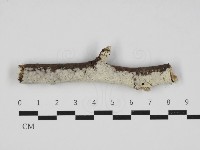 登錄號:F0032942藏品圖，第1張