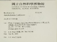 登錄號:F0032946藏品圖，第2張