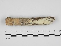 登錄號:F0032946藏品圖，第1張