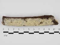 登錄號:F0032949藏品圖，第1張