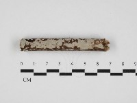登錄號:F0032950藏品圖，第1張
