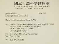 登錄號:F0032952藏品圖，第2張
