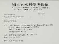 刺皮菌屬藏品圖，第2張