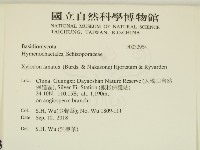 登錄號:F0032954藏品圖，第2張