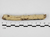 登錄號:F0032954藏品圖，第1張