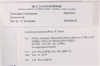 登錄號:F0032955藏品圖，第4張