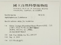 登錄號:F0032956藏品圖，第2張