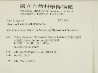 登錄號:F0032958藏品圖，第2張